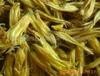 供应芦荟花 排毒养颜 花草茶 通便消火 芦荟